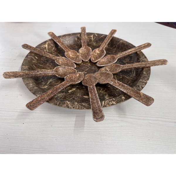 Sugarcane plate