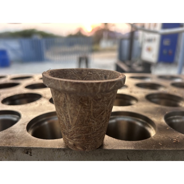 80ml tea cup